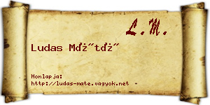 Ludas Máté névjegykártya