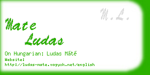 mate ludas business card