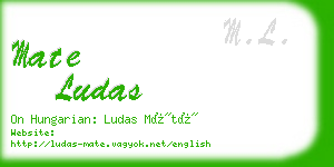 mate ludas business card
